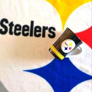 New NFL Steelers Mug